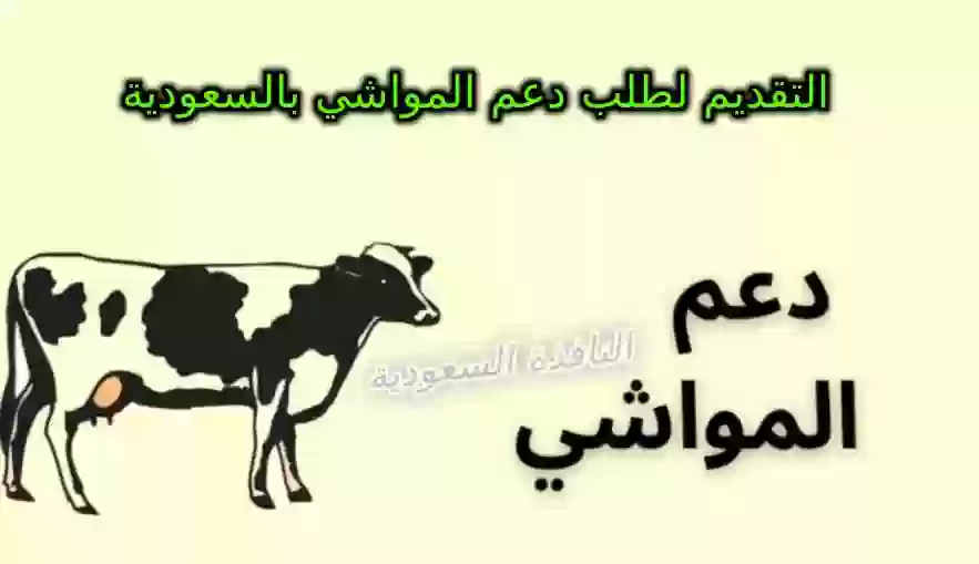 كيفية التقديم لطلب دعم المواشي