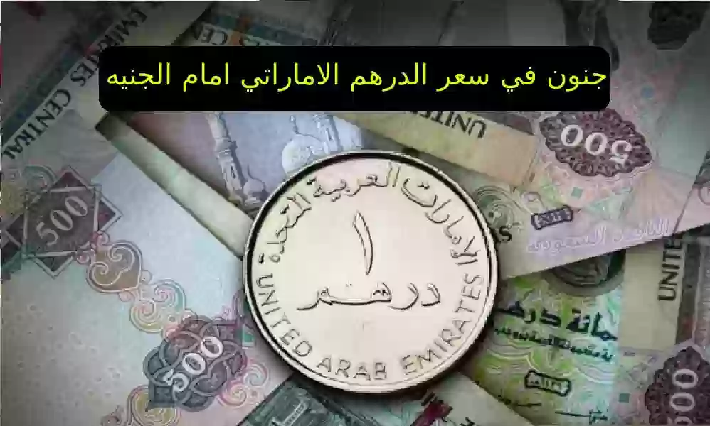 سعر الدرهم الإماراتي أمام الجنيه المصري