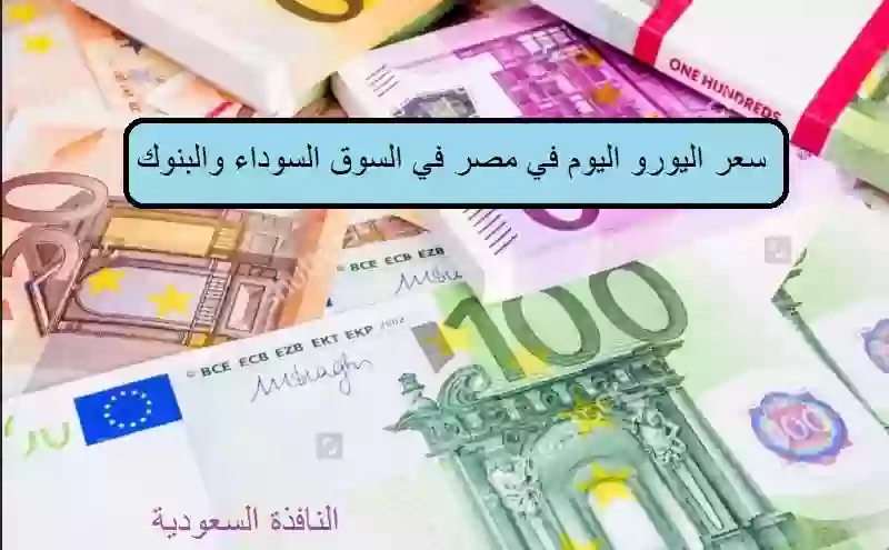 سعر اليورو اليوم