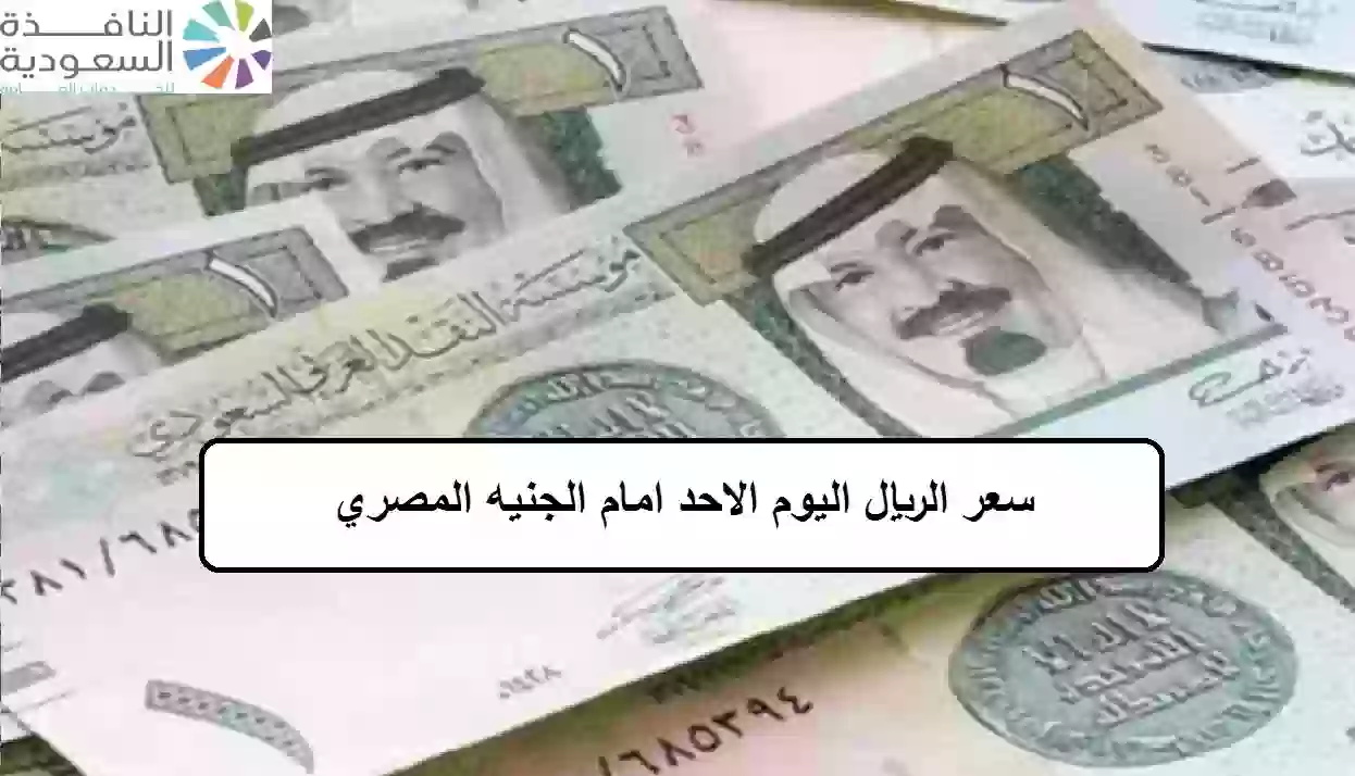 سعر الريال السعودي امام الجنيه المصري