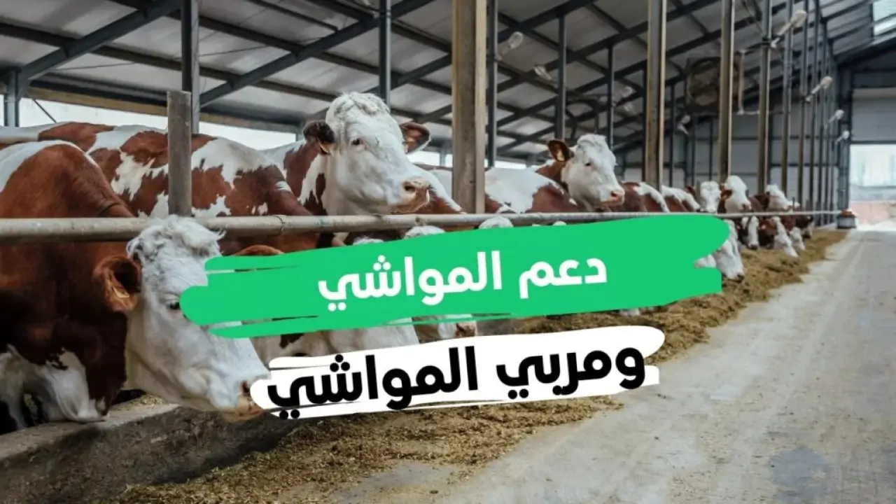 دعم مواشي الريف