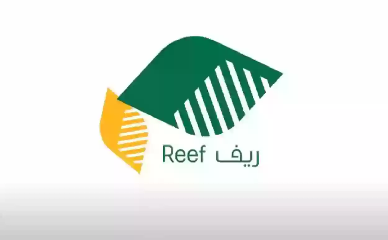 تعليق دعم ريف 1446 والشروط الأساسية للتسجيل