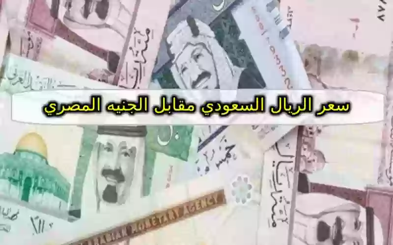 سعر الريال السعودي مقابل الجنيه المصري