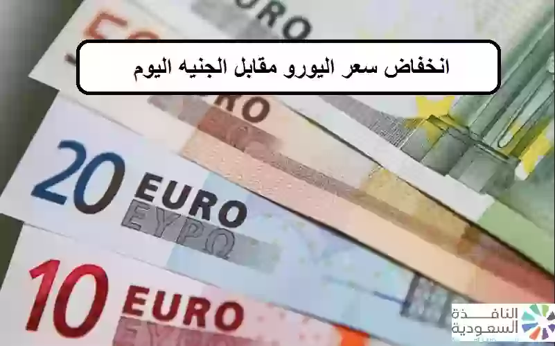 سعر اليورو امام الجنيه المصري اليوم