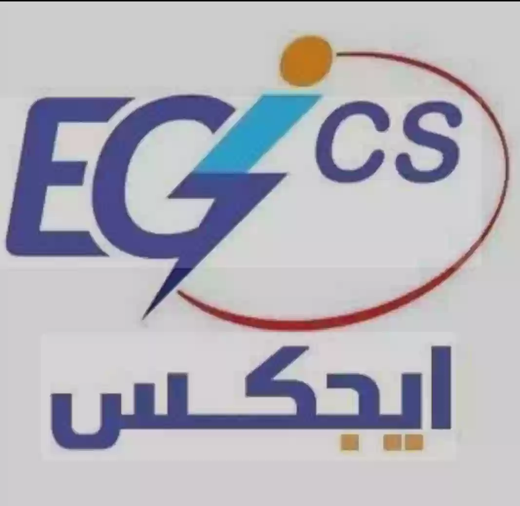 شركة ايجيكس 