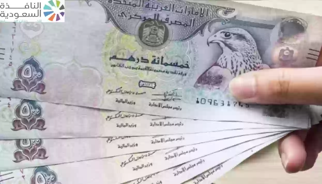 سعر الدرهم الاماراتي مقابل الجنيه المصري