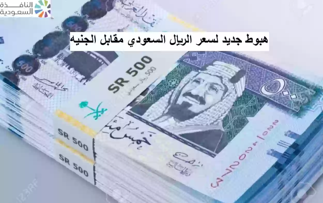 سعر الريال السعودي مقابل الجنيه المصري