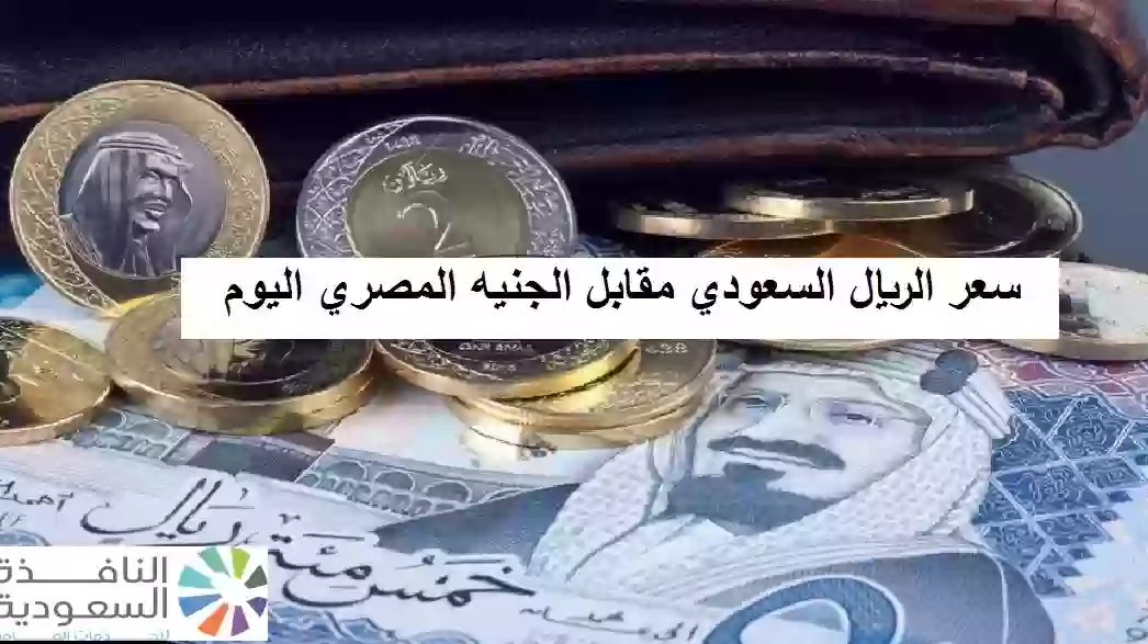 سعر الريال السعودي مقابل الجنيه المصري