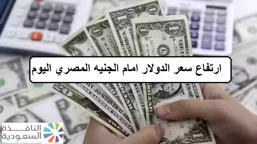 سعر الدولار امام الجنيه المصري