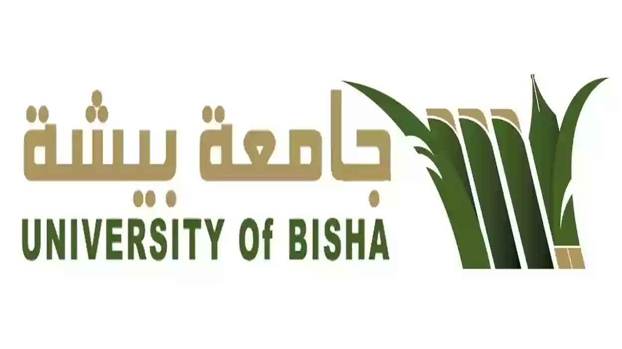 جامعة بيشة