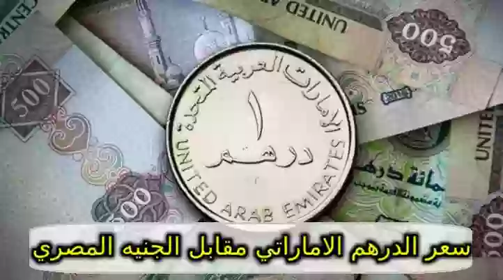 سعر الدرهم الاماراتي مقابل الجنيه المصري