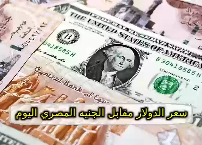 سعر الدولار مقابل الجنيه المصري اليوم