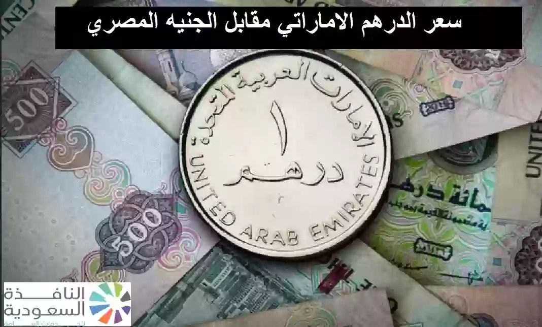 سعر الدرهم الاماراتي مقابل الجنيه المصري