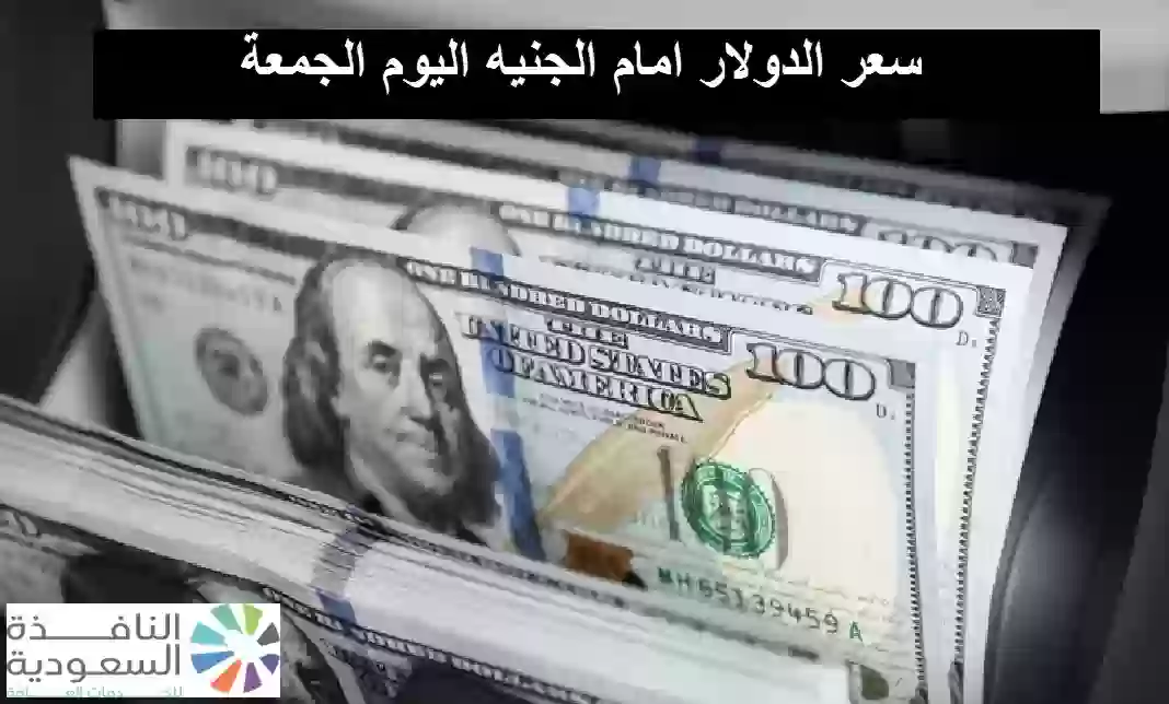 سعر الدولار مقابل الجنيه اليوم