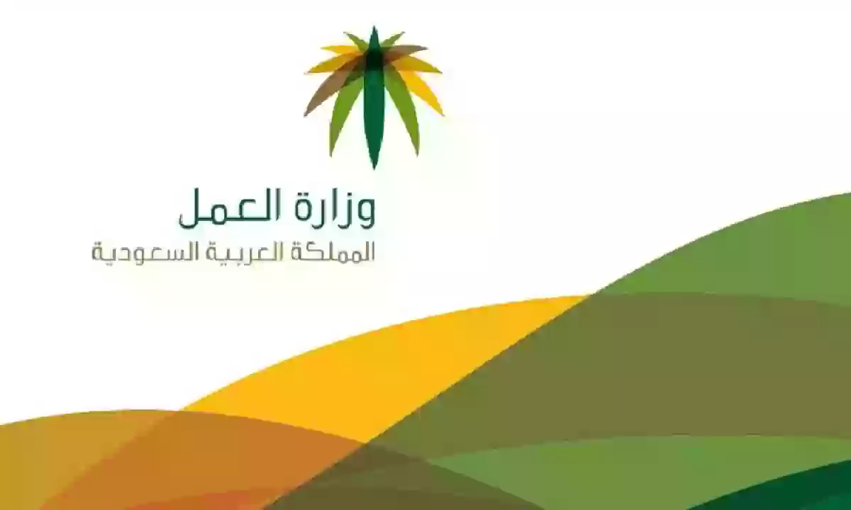 وزارة الموارد البشرية والتنمية الاجتماعية