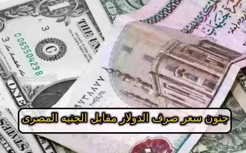 سعر صرف الدولار مقابل الجنيه المصرى 