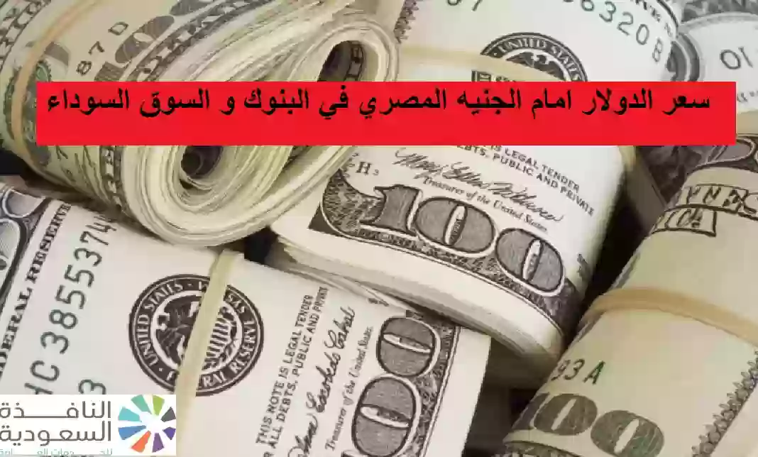 سعر الدولار امام الجنيه المصري