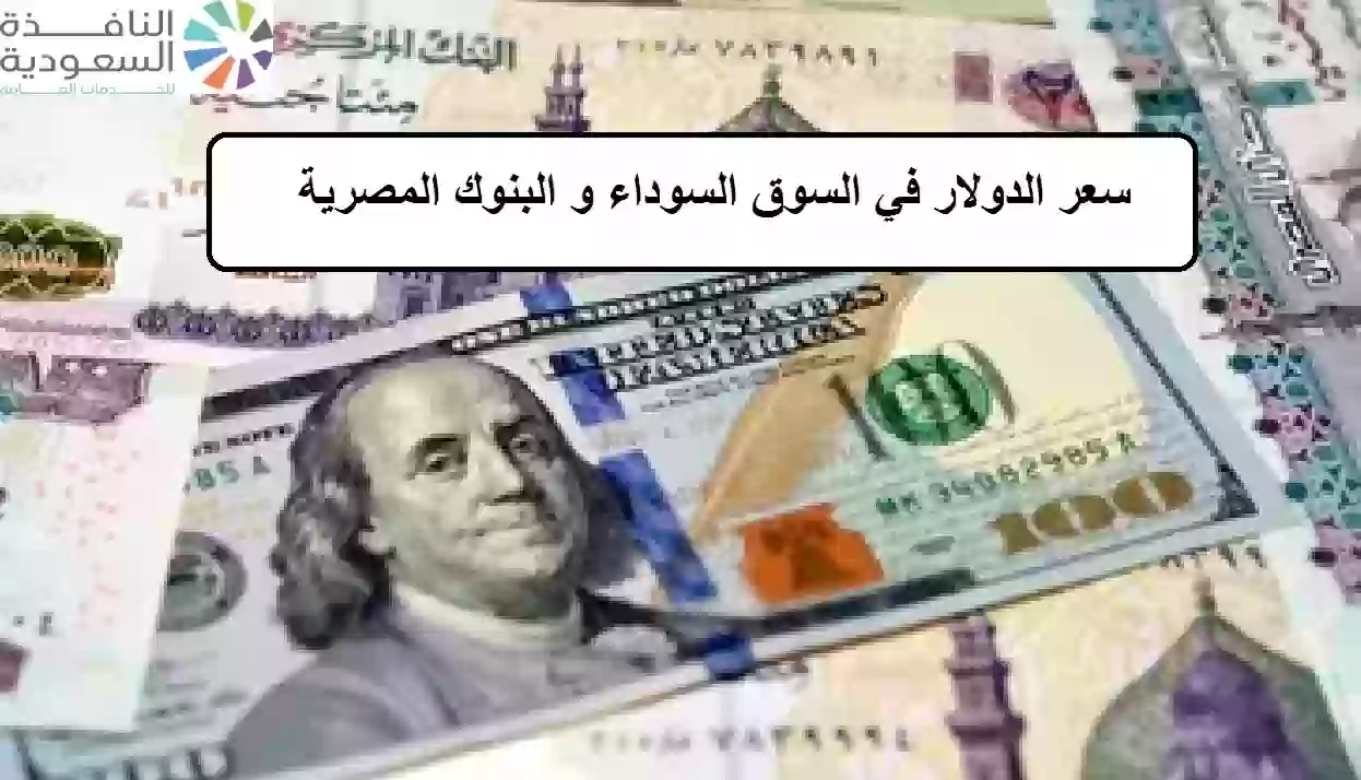 سعر الدولار في السوق السوداء و البنوك المصرية