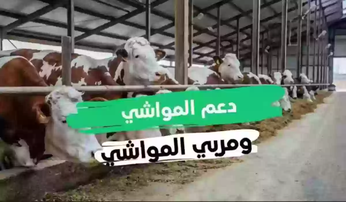 كيفية الاستعلام عن دعم المواشي 1445 ومن هم المستفيدين