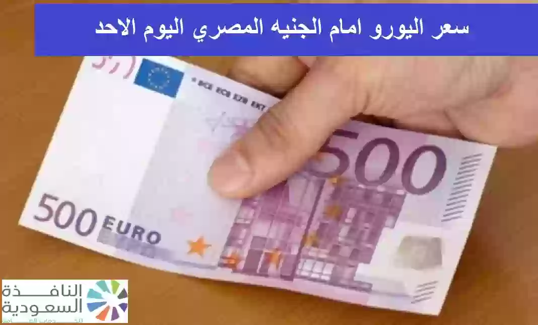 سعر اليورو امام الجنيه المصري اليوم