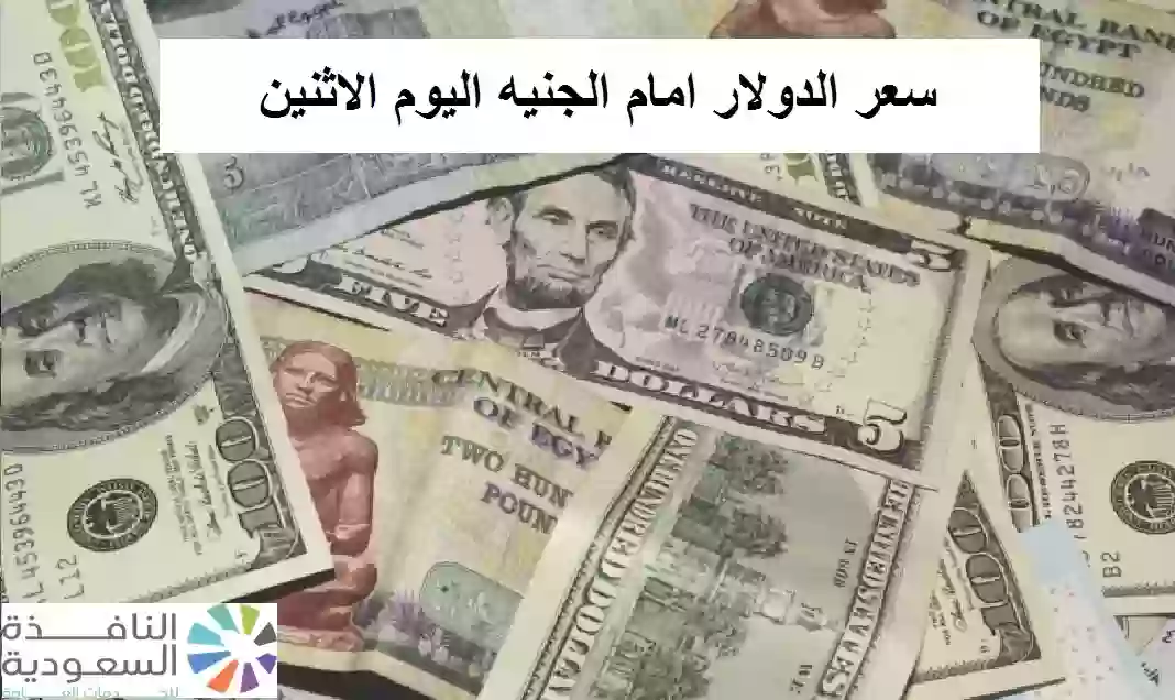 سعر الدولار امام الجنيه المصري