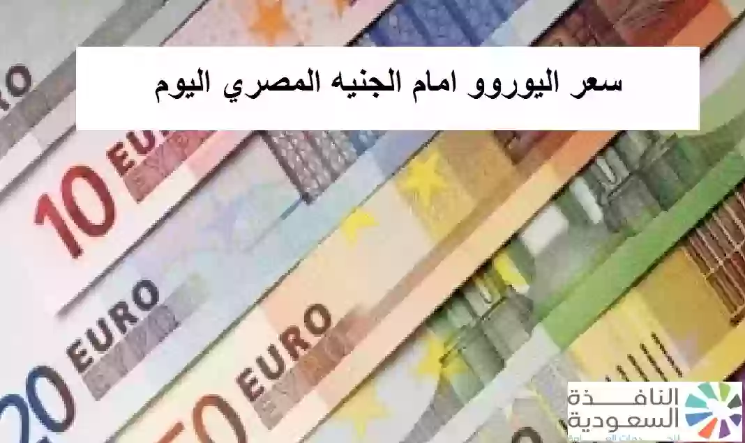 سعر اليوروو امام الجنيه المصري اليوم