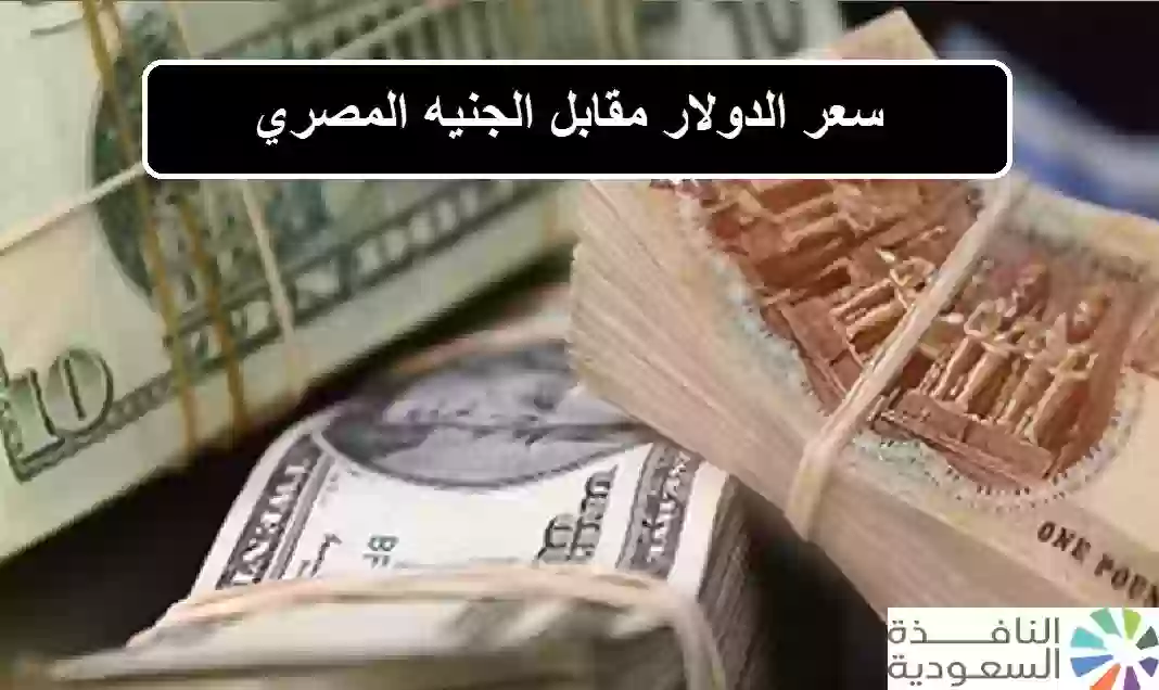 سعر الدولار مقابل الجنيه المصري