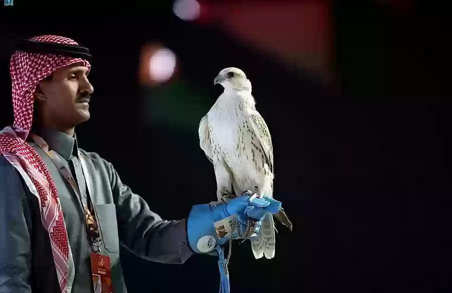 مهرجان الصقور