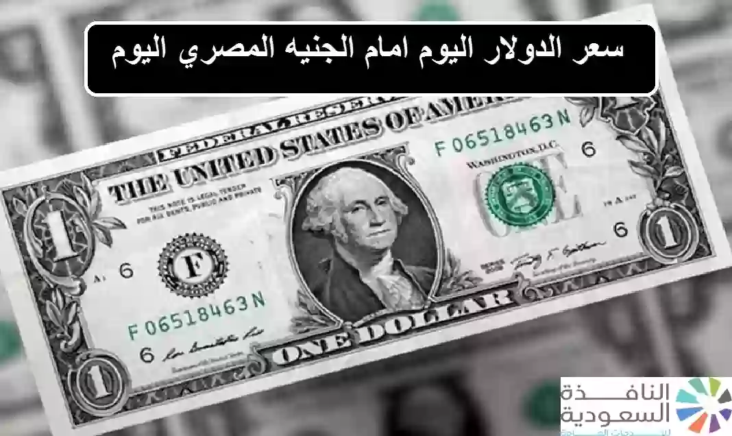 سعر الدولار اليوم امام الجنيه المصري