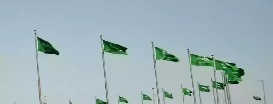 سعودة المهن