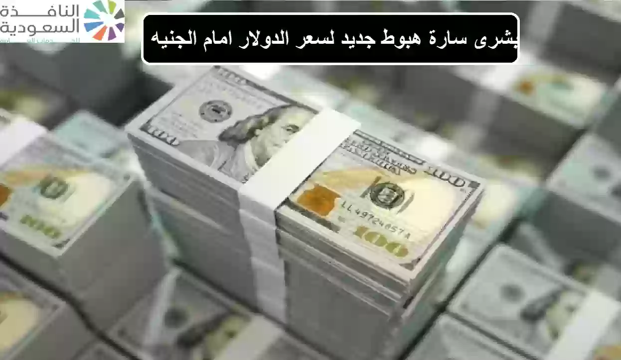 هبوط جديد لسعر الدولار امام الجنيه