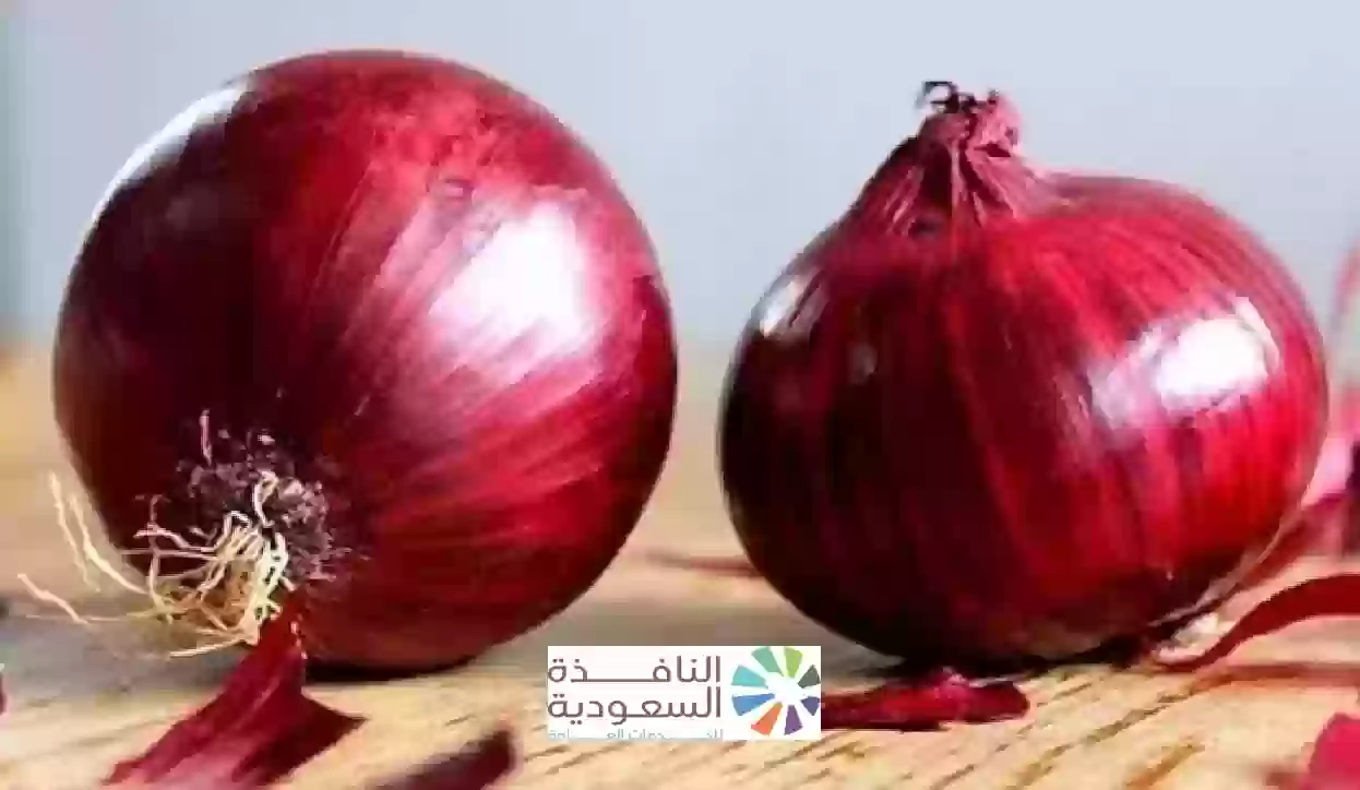 سعر البصل في السعودية