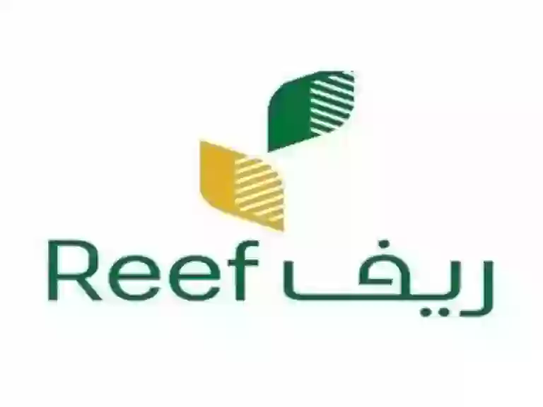 برنامج دعم ريف السعودي لربات البيوت