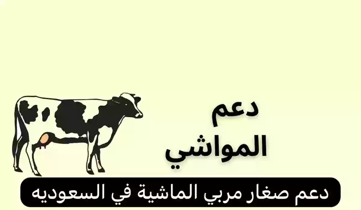 برنامج دعم صغار الماشية اعرف الآن طريقة التسجيل والشروط المطلوبة