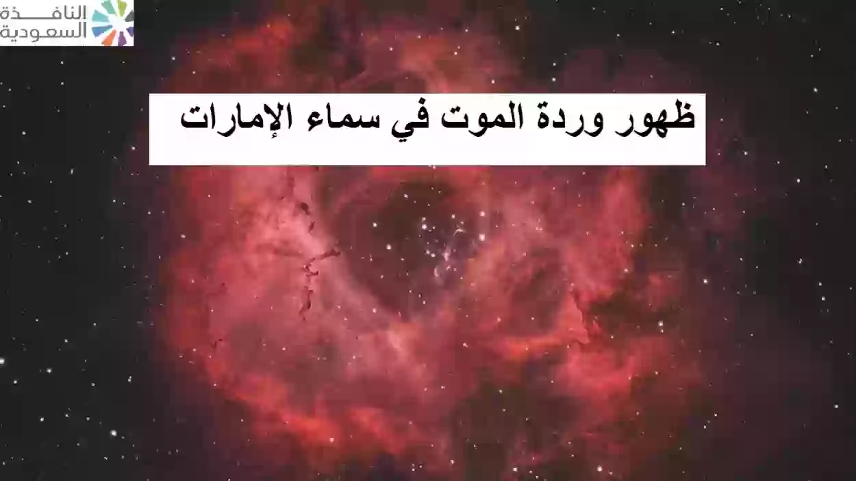 ظهور وردة الموت في سماء الإمارات