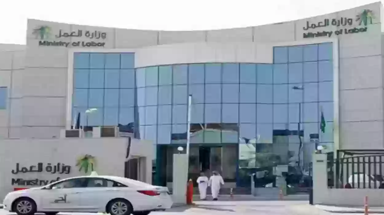 المهن المسعودة في عسير