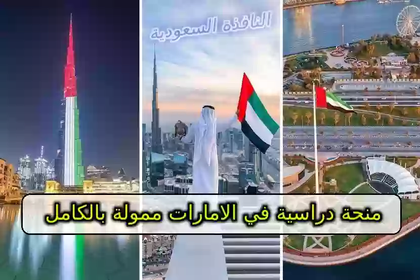 منحة دراسية في الامارات ممولة بالكامل